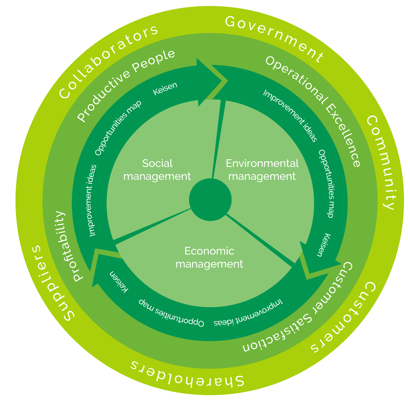 Strategic Direction - Riduco