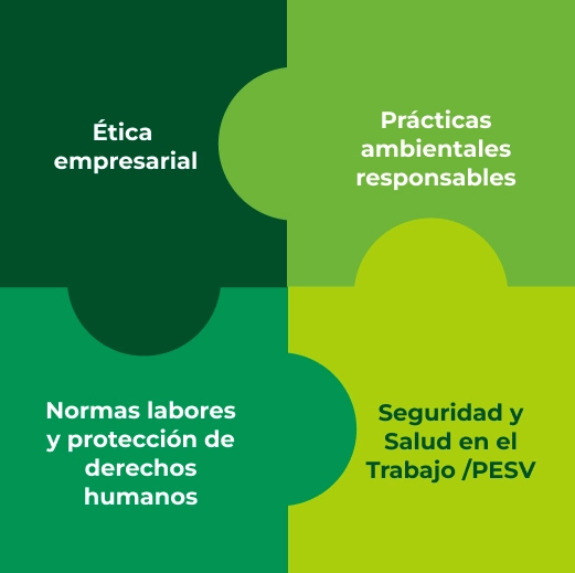 Gobierno RSE