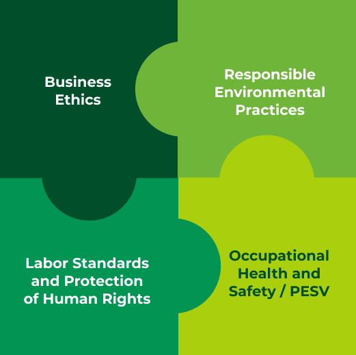 Government CSR